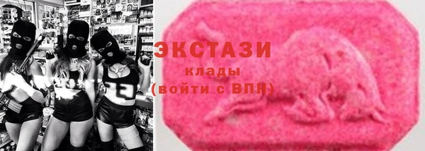 гидра Богородицк