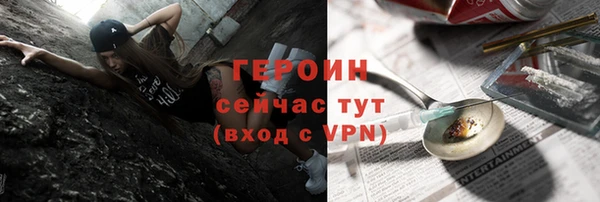 сатива Беломорск