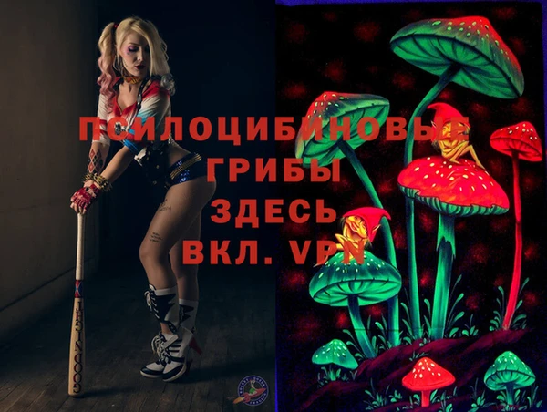 mdma Богданович