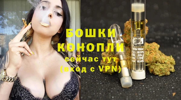 сатива Беломорск