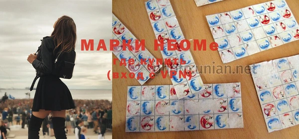 сатива Беломорск