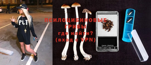 сатива Беломорск
