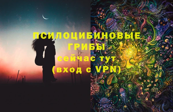 сатива Беломорск