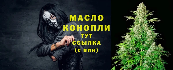 сатива Беломорск