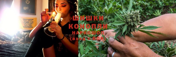 сатива Беломорск
