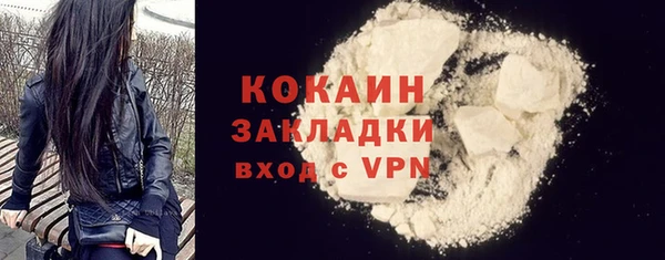сатива Беломорск