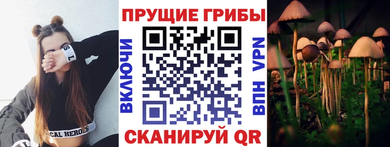 Псилоцибиновые грибы Magic Shrooms Верхняя Тура