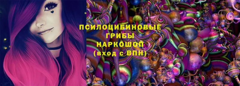 Псилоцибиновые грибы MAGIC MUSHROOMS Верхняя Тура